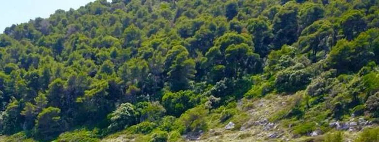 Ferretti 43: Extended Elafiti Islands & Caves Boat Tour