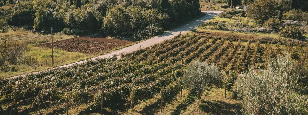 Dubrovnik countryside vineyard tour. Book now!
