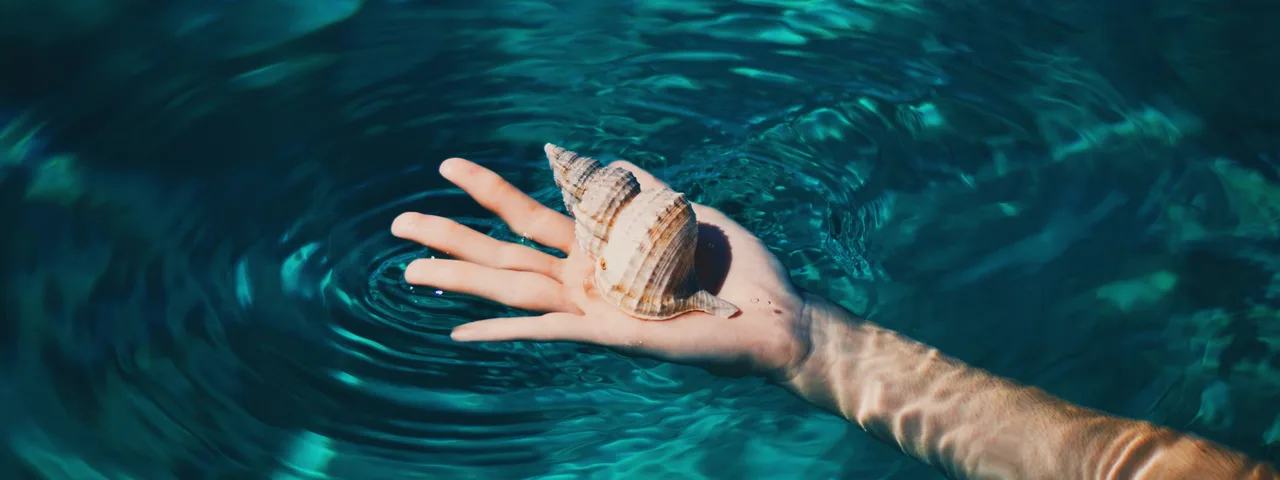 Seashell souvenir from a Dubrovnik boat charter. Bespoke holidays with Tendo.