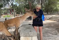 Woman feeding friendly fallow deer with young antlers at a wildlife park. Up-close animal encounter, nature experience, summer outdoor activity to the Island Korcula.