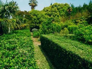 Lush garden passageway and pavilion at Trsteno Arboretum near Dubrovnik — Game of Thrones palace garden private boat tour stop