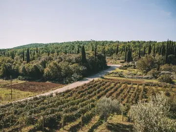 Dubrovnik countryside vineyard tour. Book now!