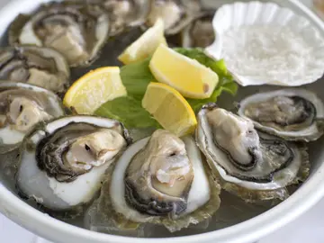 Fresh Mali Ston oysters on the half shell arranged on a white plate with lemon wedges and lettuce garnish, Croatia