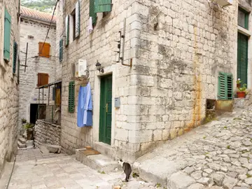 Narrow cobblestone alley in Kotor old town with stone houses, green shutters and a cat in the foreground