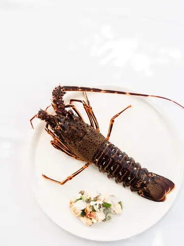 Lobster on the menu