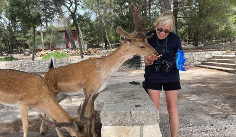 Woman feeding friendly fallow deer with young antlers at a wildlife park. Up-close animal encounter, nature experience, summer outdoor activity to the Island Korcula.