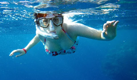 Tendo skippers will take you to most beautiful and unique snorkeling locations. 