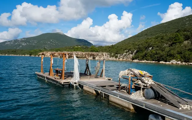 Oyster farming raft floating on calm turquoise Mali Ston Bay with a lone worker tending nets and oyster clusters, Croatia