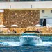 Sea Ray 240 Sunsport lenght in meters