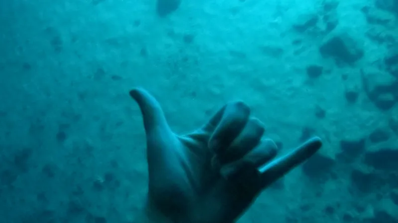 Experience the thrill of underwater exploration on our private tours, where every moment is a gesture of pure joy.