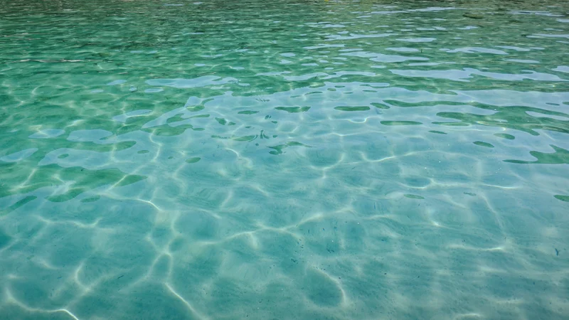 Photo from William's review