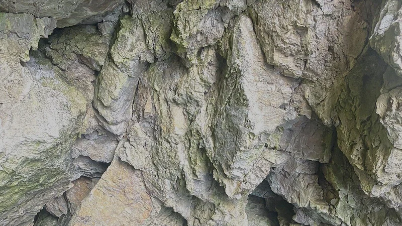 Photo from Franny W's review