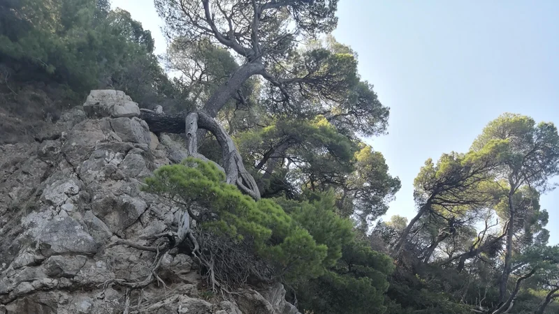 Photo from  sam-e-j85's review