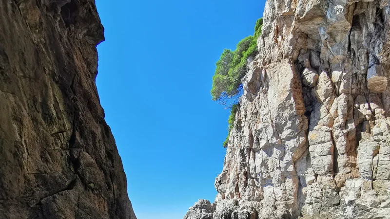 Photo from melrowe2's review