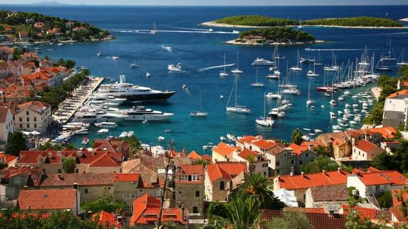 Photo from Rolando B's review