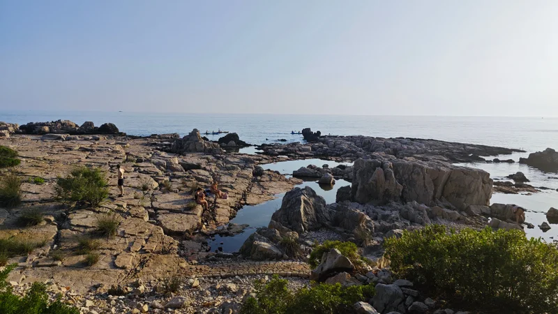 Photo from A guest's review