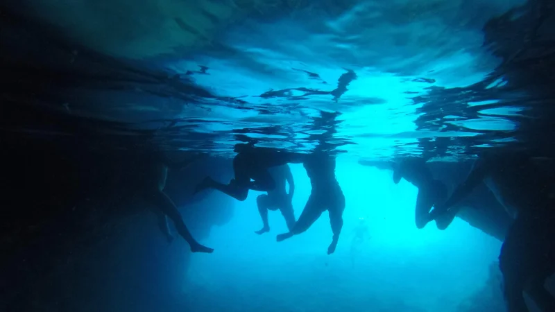 Photo from A guest's review