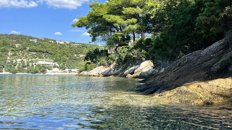 Photo from Miola A's review