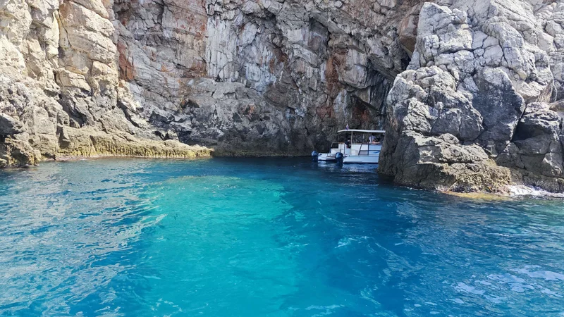 Photo from Voyager48418663261's review