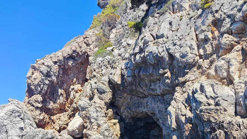 Photo from Zavier Devon's review