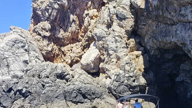 Photo from A guest's review