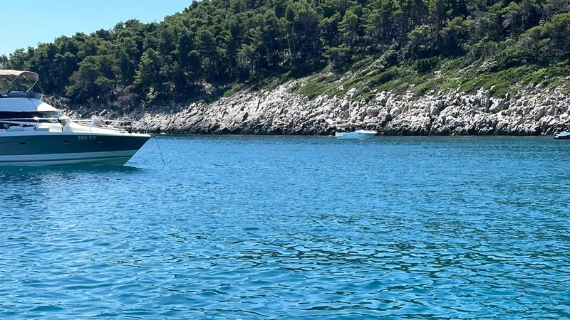 Photo from Marcelo's review