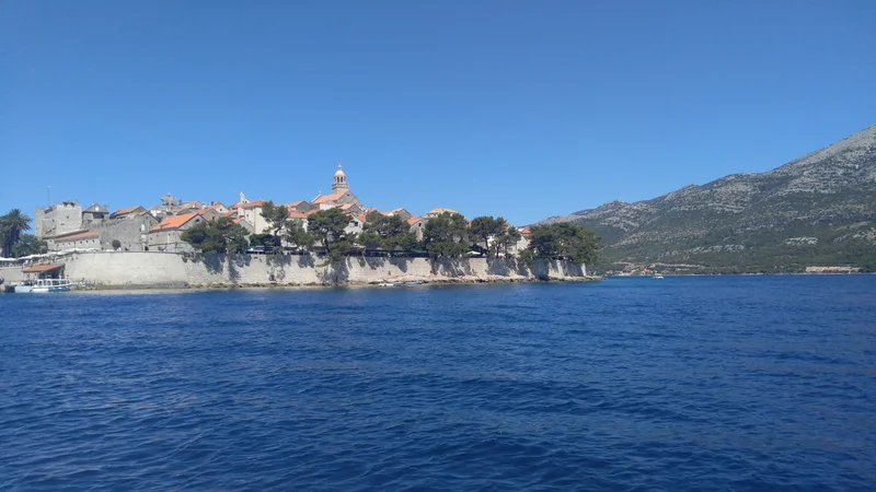 Photo from A guest's review