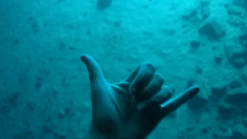 Experience the thrill of underwater exploration on our private tours, where every moment is a gesture of pure joy.