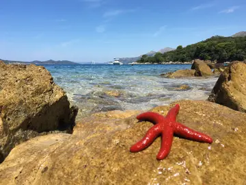 Gallery photo of Dubrovnik boat adventure / beach stops including visit of Blue Cave