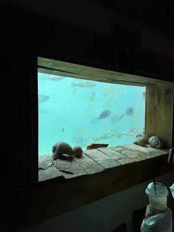 Red Rocks & Hidden cave, Pakleni Islands - crew 7
