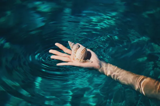 Seashell souvenir from a Dubrovnik boat charter. Bespoke holidays with Tendo.