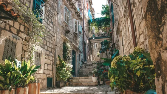 Sunlit narrow stone alleyway with potted plants decorating the walls in Dubrovnik Old Town, Croatia