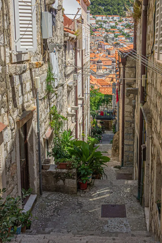 Narrow cobblestone street with stone staircase and terracotta pots of flowers in Dubrovnik Old Town, Croatia
