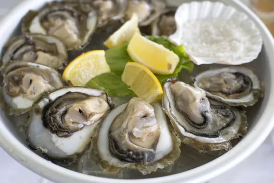 Fresh Mali Ston oysters on the half shell arranged on a white plate with lemon wedges and lettuce garnish, Croatia