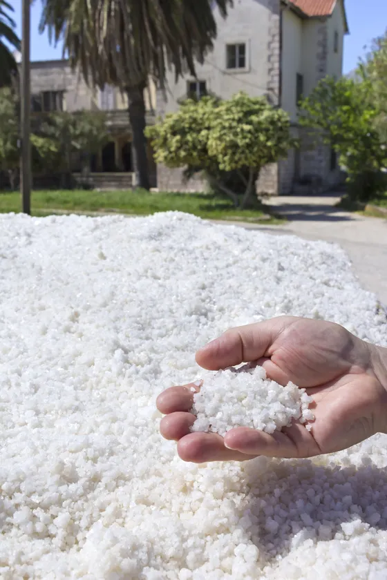 Hand scooping white sea salt crystals from a mound at the historic Ston salt works with salt pans in background, Dalmatia, Croatia