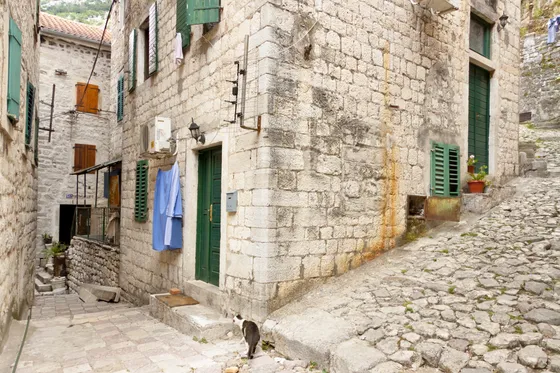 Narrow cobblestone alley in Kotor old town with stone houses, green shutters and a cat in the foreground