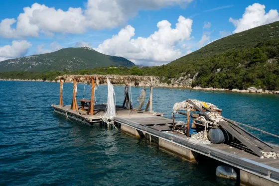 Oyster farming raft floating on calm turquoise Mali Ston Bay with a lone worker tending nets and oyster clusters, Croatia