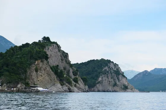 Pine-covered limestone cliffs rising from the turquoise Adriatic at Petrovac, on the southern Montenegrin coast