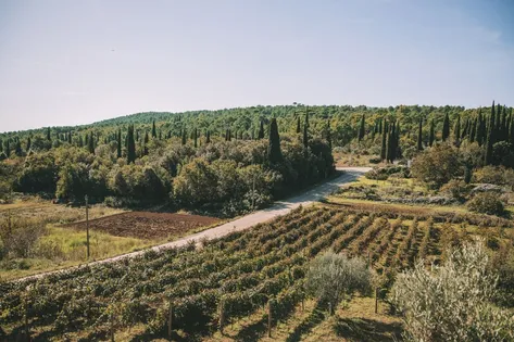 Dubrovnik countryside vineyard tour. Book now!