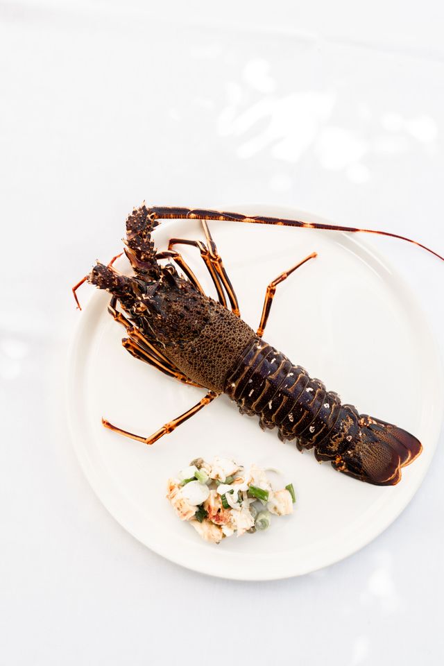 Lobster on the menu