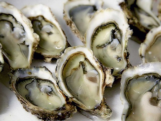 Create your own custom itinerary for a private boat tour.